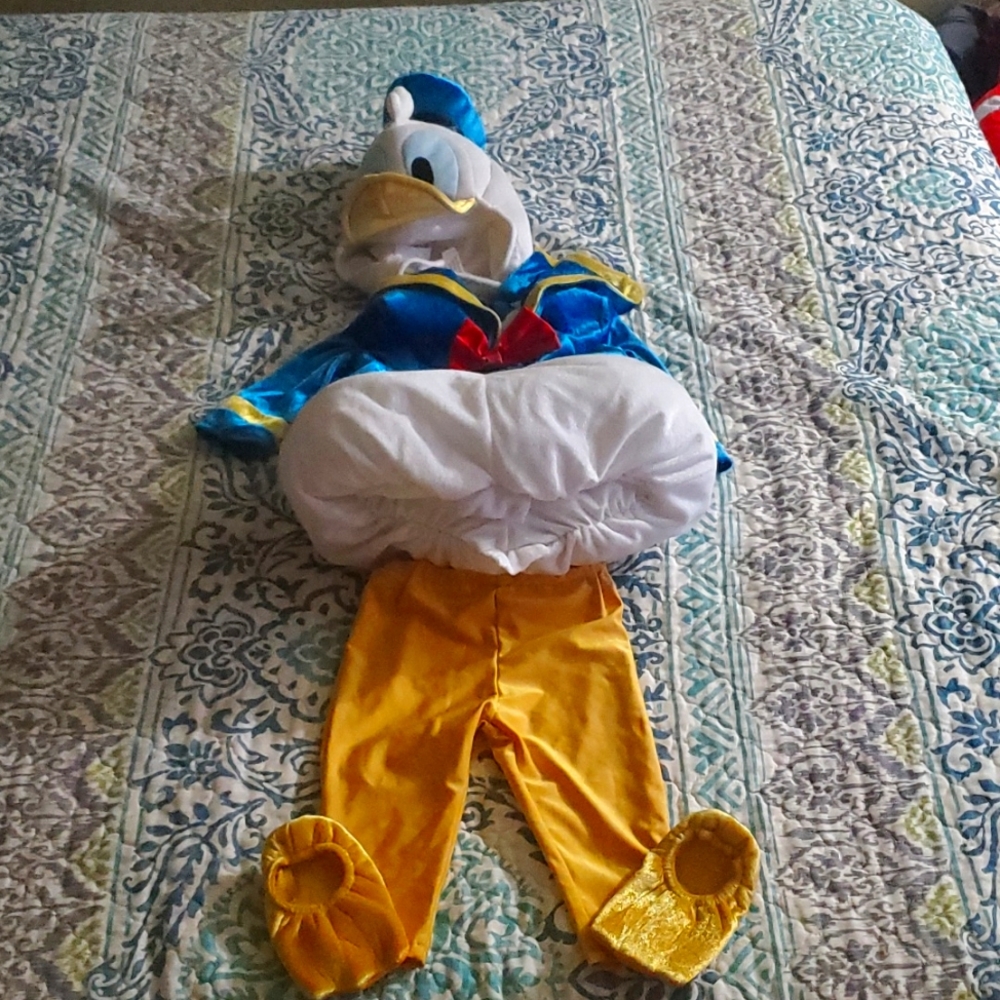 Donald Duck costume
